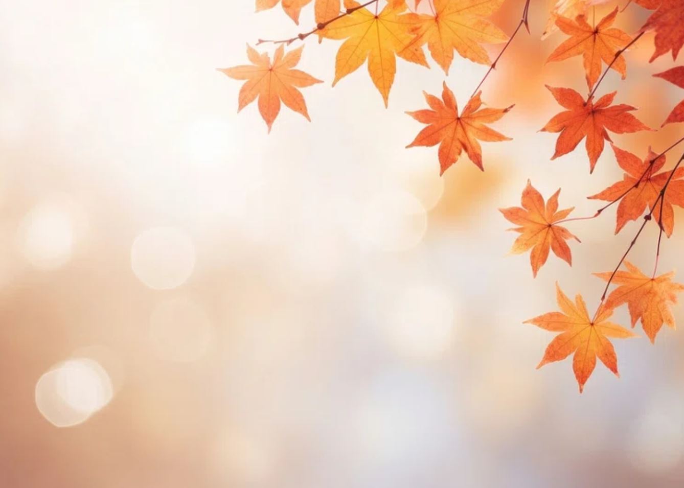 Autumn background