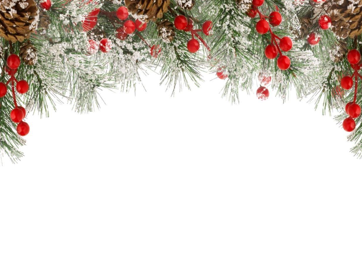 RED BERRIES IN SNOW